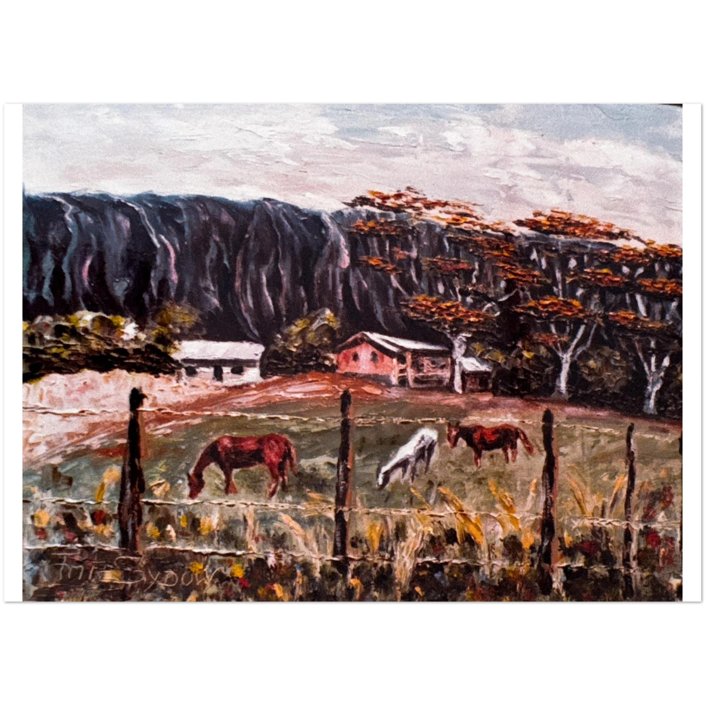 e417a248-fd56-4f05-8e3a-8c3a8b9ea523