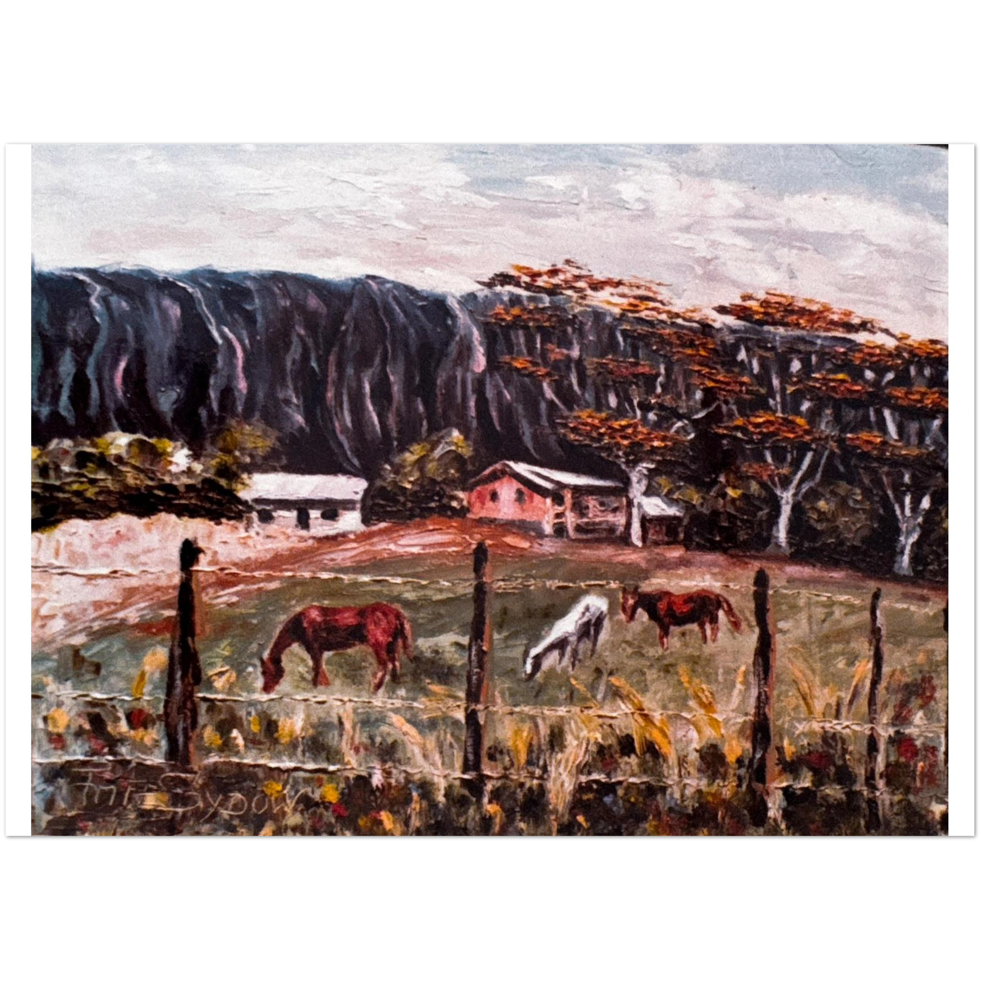 e417a248-fd56-4f05-8e3a-8c3a8b9ea523